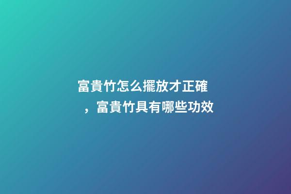 富貴竹怎么擺放才正確，富貴竹具有哪些功效